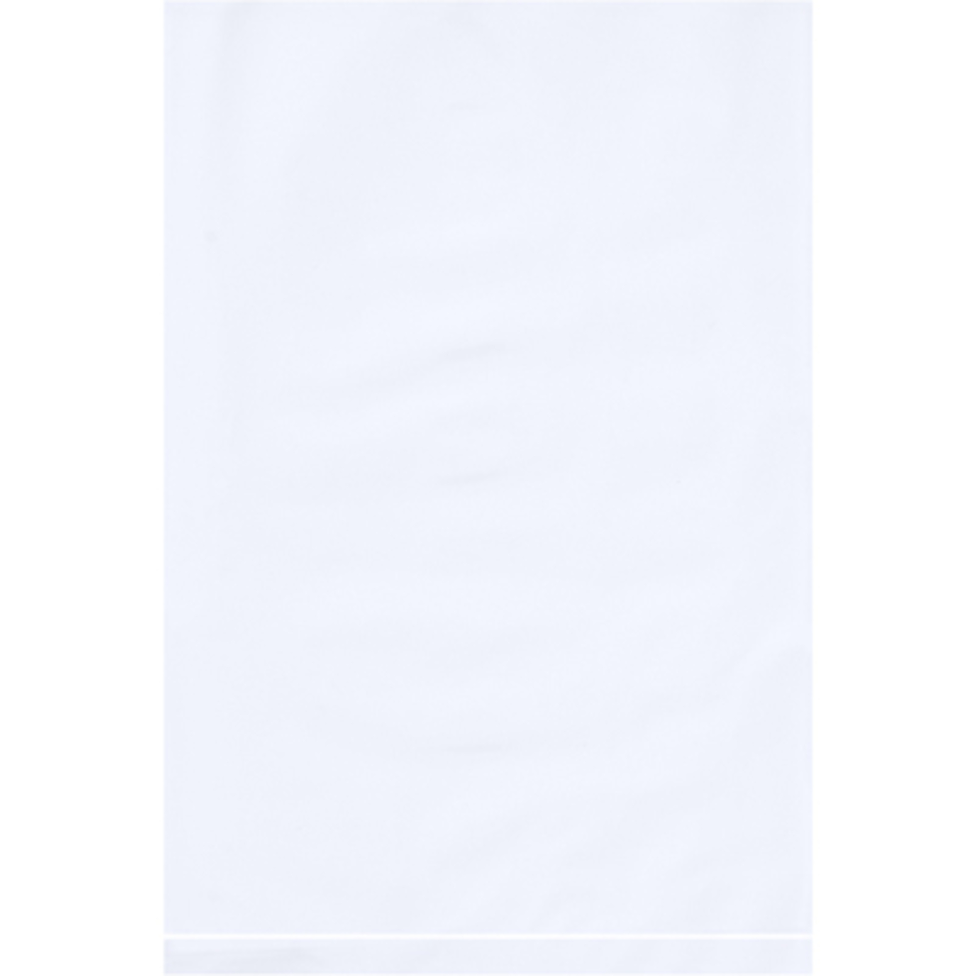 6 x 9in. - 2 Mil White Flat Poly Bags 1000/CS, Model# PB440W